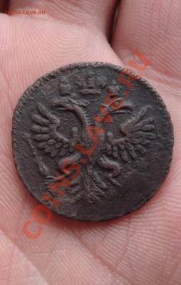 денга 1731 перечека из копейки  1724 до 22:00 12.02.2011 - DSC06531.JPG