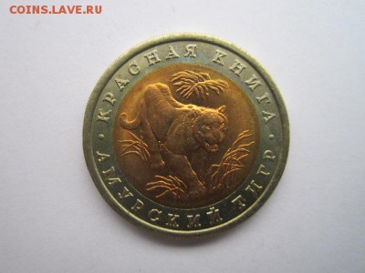 с 200 кк 1992 Тигр до 11.04.2017 в 22:30 - IMG_3011.JPG