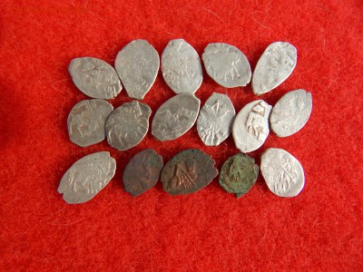 13 чешуек и 3 медные пулы. - DSCN1462[1].JPG