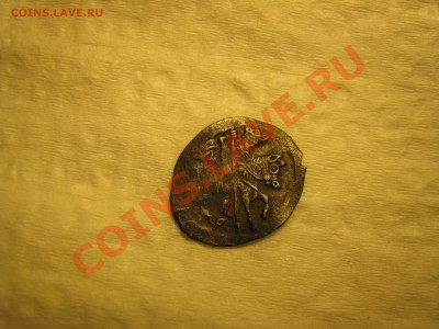 Чешуя, помогите оценить - IMG_7962.JPG