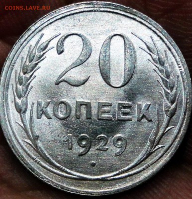 20 копеек 1929 году. Прошу посмотреть. - DSC09177.JPG