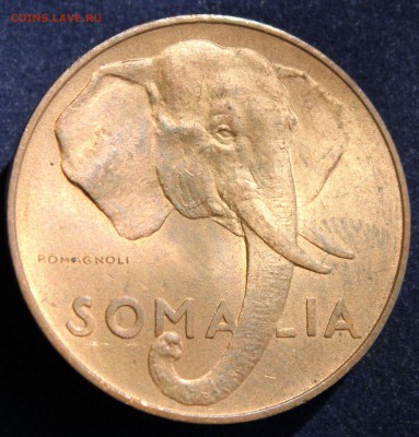 С 1 руб. ИТАЛЬЯНСКОЕ СОМАЛИ 10с  1950г.СЛОН UNC до 15.04 - IMG_5542.JPG
