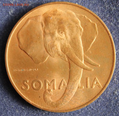 С 1 руб. ИТАЛЬЯНСКОЕ СОМАЛИ 10с  1950г.СЛОН UNC до 15.04 - IMG_5527.JPG