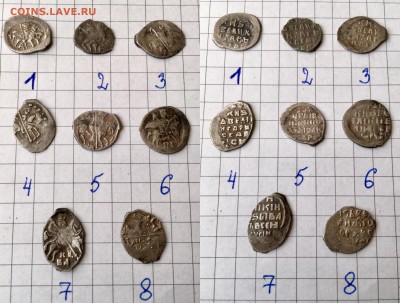 Чешуя на определение - C871BB21-22B5-4F4A-BD61-4E3CC630CA8F