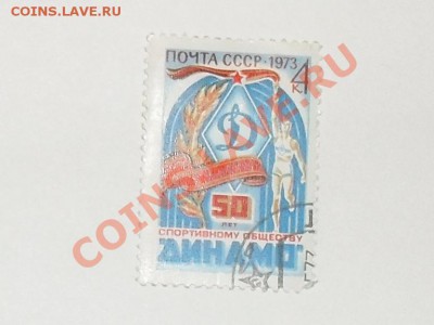 1 - SDC12273.JPG