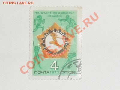 4 - SDC12272.JPG