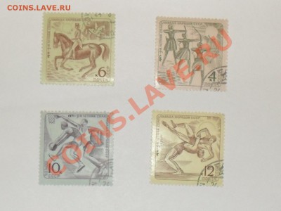 4 - SDC12270.JPG
