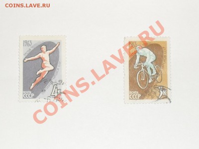 2 - SDC12266.JPG