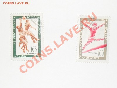 3 - SDC12268.JPG