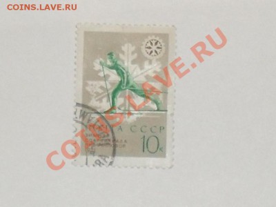 4 - SDC12269.JPG