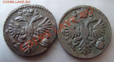 Денга 1731 года - 4 шт.(разные, интересные)! - P1260003 (2).JPG