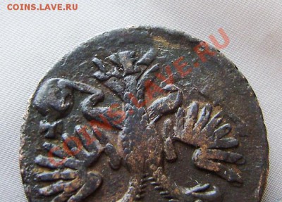 Денга 1731 года - 4 шт.(разные, интересные)! - P1260007 (2).JPG