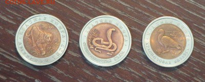 КРАСНАЯ КНИГА набор 1992 г. до 16.04, 22.00 - Красная книга тирг казарка кобра