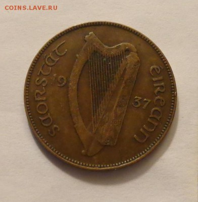 ИРЛАНДИЯ - Курица с цыплятами до 16.04, 22.00 - Ирландия Глухарь арфа-1