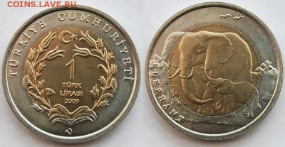 Биметалл!! Турция 1 лира 2009 Слон - 0_4fefd_ccd5107_XL