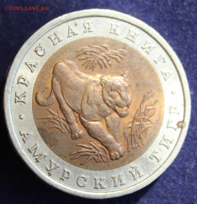 КРАСНАЯ КНИГА 10 руб.1992г. АМУРСКИЙ ТИГР до 16.04 - IMG_5607.JPG