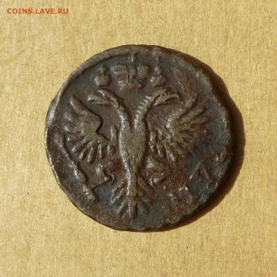 Денга 1731 ПЕРЕЧЕКАНКА, НИЗКИЙ старт, есть БЛИЦ, до 14.04.17 - P1110939.JPG