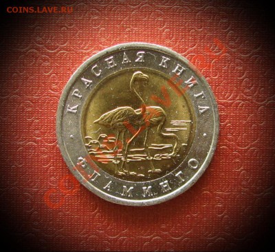 50 рублей  1994 г. Красная книга  Фламинго. - IMG_0046.JPG