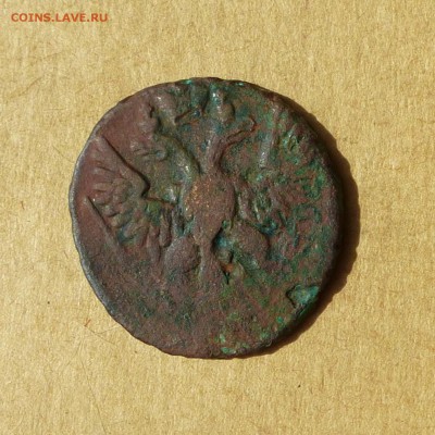 Денга 1749, НИЗКИЙ старт, есть БЛИЦ, до 14.04.2017 - P1110989.JPG