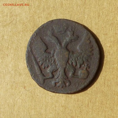 Денга 1749, НИЗКИЙ старт, есть БЛИЦ, до 14.04.2017 - P1110993.JPG