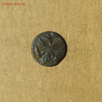 Полушка 1720 - БУКВАМИ, НИЗКИЙ старт, есть БЛИЦ, до 14.04.17 - P1120074.JPG