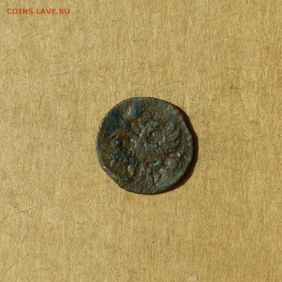 Полушка 1720 ЦИФРАМИ, НИЗКИЙ старт, есть БЛИЦ, до 14.04.17 - P1120078.JPG