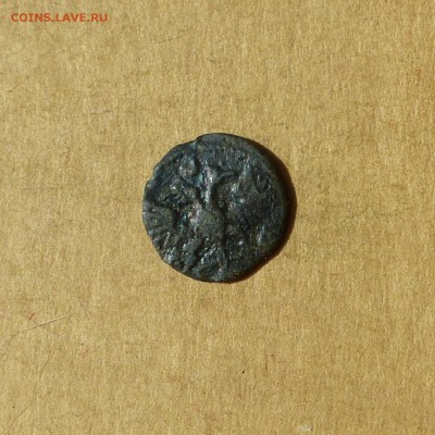 Полушка 1722 ЦИФРАМИ, НИЗКИЙ старт, есть БЛИЦ, до 14.04.17 - P1120080.JPG