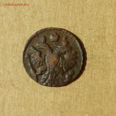 Полушка 1739, НИЗКИЙ старт, есть БЛИЦ, до 14.04.17 - P1120100.JPG