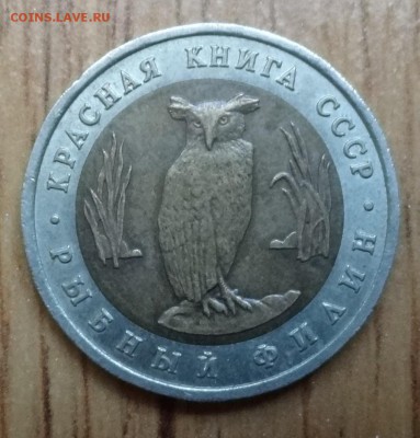 СССР 1991 компл. Красная книга Филин+Козел до 13.04.17 22-00 - DSC03323.JPG
