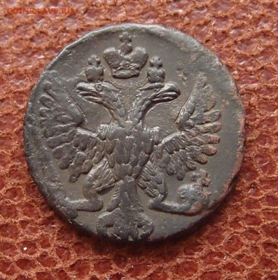 Денга 1749 перья до 13.04 в 22,00 - P4016880.JPG
