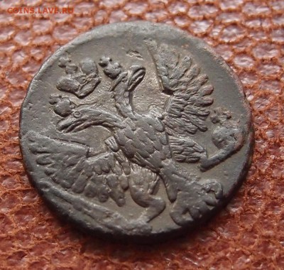 Денга 1749 перья до 13.04 в 22,00 - P4016882.JPG