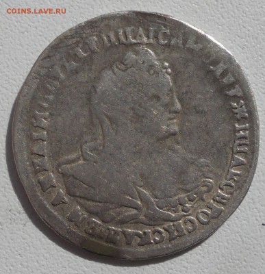 Полуполтина 1740 года, Анна Иоанновна, (опознание и оценка) - polupolt-1740-1.JPG