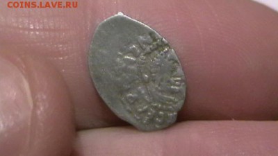 Василий Васильевич, голова вправо-строчник до 14.04.17 по МС - IMGA0055.JPG
