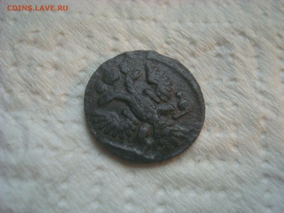 Полушка 1735г. Бодрая. На оценку. - DSC02453.JPG