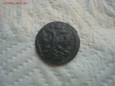 Полушка 1735г. Бодрая. На оценку. - DSC02452.JPG