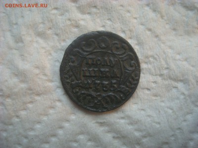 Полушка 1735г. Бодрая. На оценку. - DSC02449.JPG