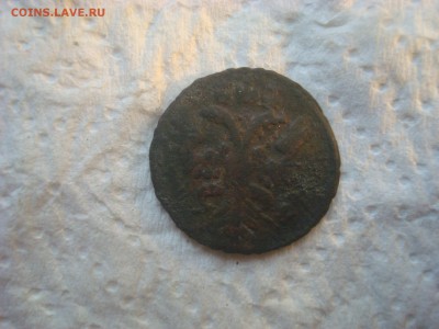 Полушка 1731г. Перечекан из копейки Петра I. R! - DSC02500.JPG