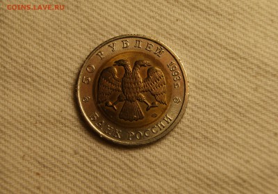 КК 50руб 1993г Гималайский Медведь 16.04.2017 22-00 - DSC08659.JPG