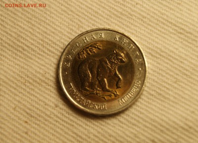 КК 50руб 1993г Гималайский Медведь 16.04.2017 22-00 - DSC08661.JPG