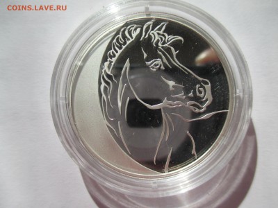 3р ГОД ЛОШАДИ - IMG_0136.JPG