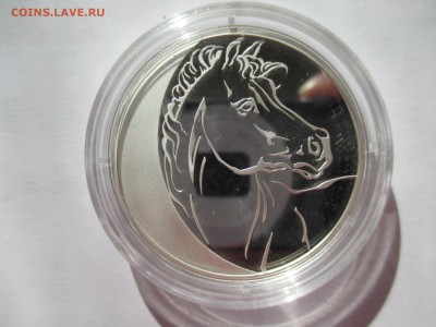 3р ГОД ЛОШАДИ - IMG_0134.JPG