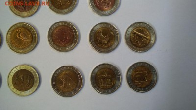 Короткий! Красная книга 15 шт Отличный набор до 13.04 22:00 - кк5