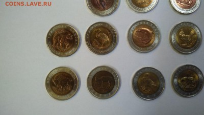 Короткий! Красная книга 15 шт Отличный набор до 13.04 22:00 - кк4