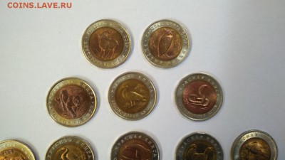 Короткий! Красная книга 15 шт Отличный набор до 13.04 22:00 - кк3