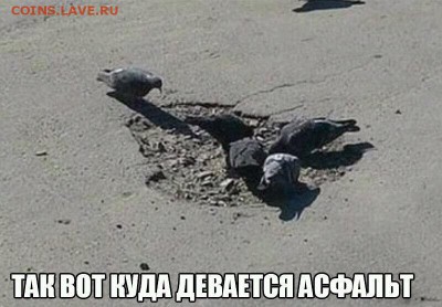 Вот а вы всё на чиновников валите. - image (25)