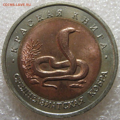 КК 1992 Кобра 10 рублей до 18.04.17 - IMG_0785.JPG