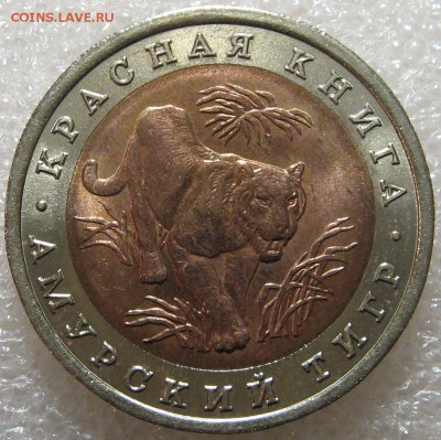 КК 1992 Амурский Тигр 10 рублей до 18.04.17 - IMG_0786.JPG