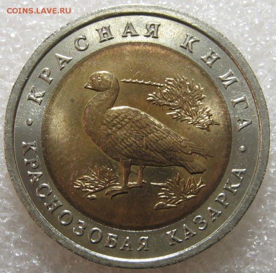 КК 1992 Казарка 10 рублей до 18.04.17 - IMG_0782.JPG