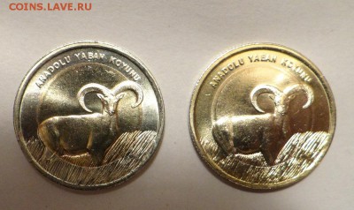 Турция 1 лира монометалл? - DSC05541.JPG