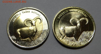 Турция 1 лира монометалл? - DSC05542.JPG